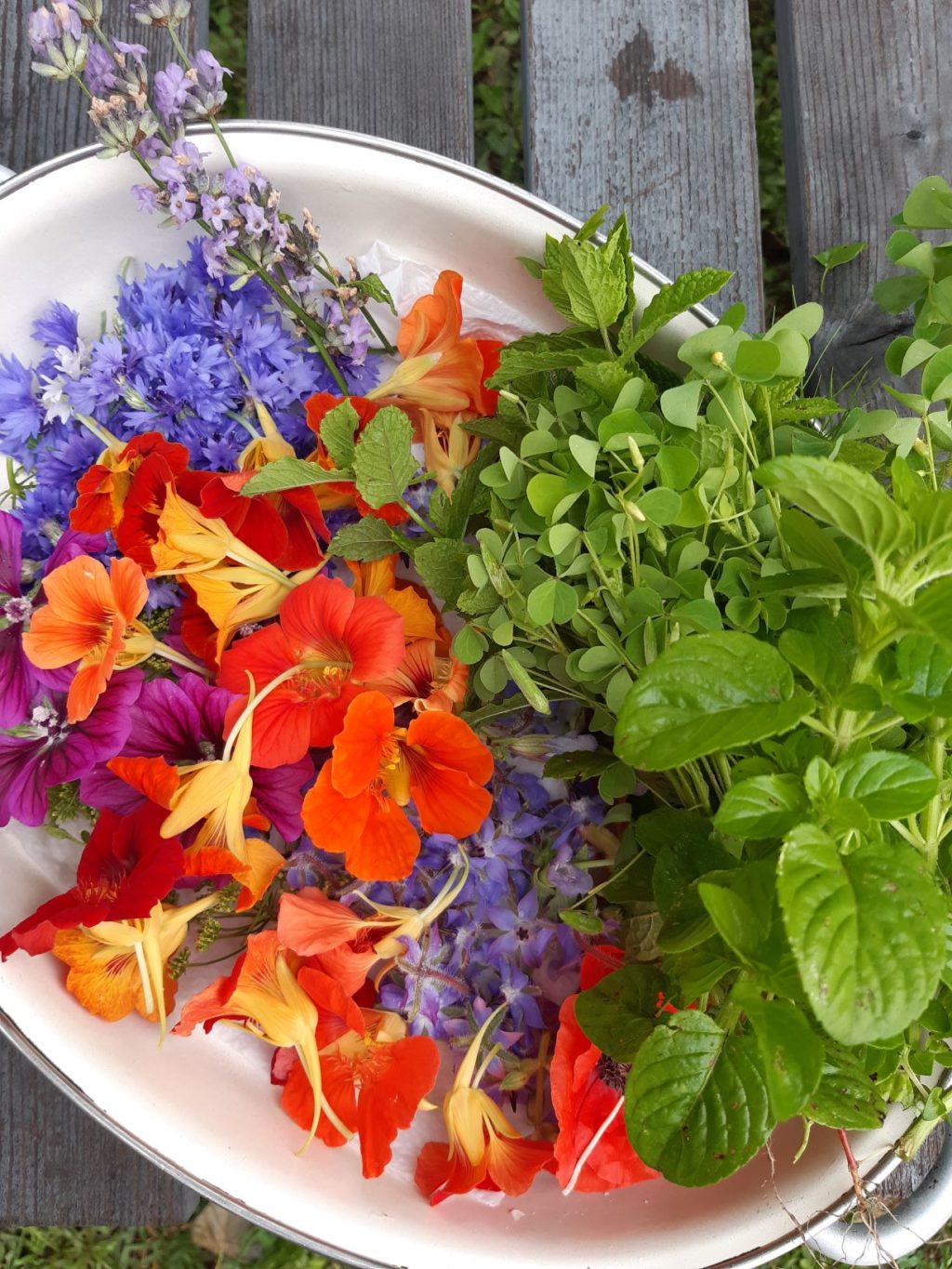 Les fleurs comestibles, pour une cuisine colorée et pleine de